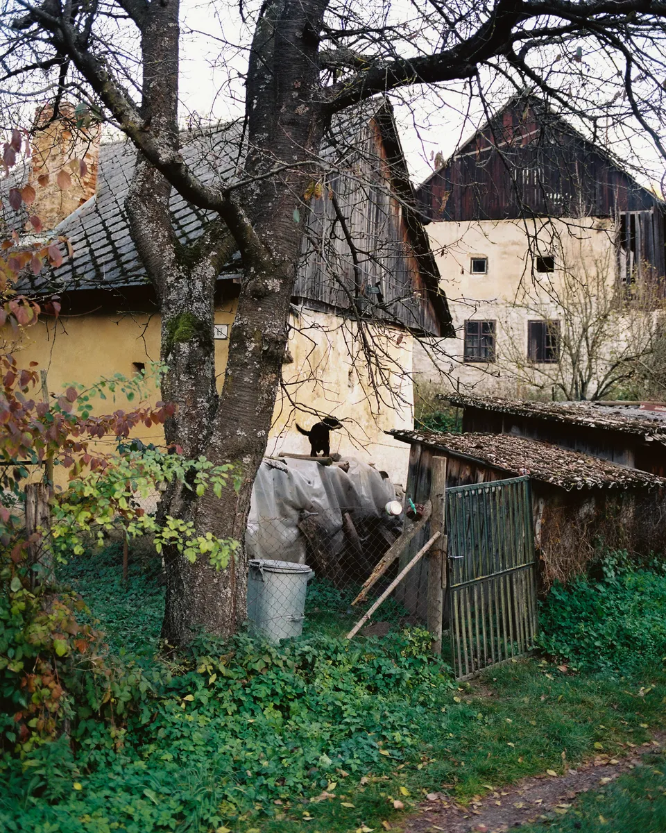 Where the sheep say goodnight - photograph by Alexej Zavodnov